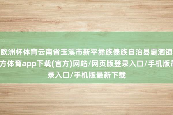 欧洲杯体育云南省玉溪市新平彝族傣族自治县戛洒镇-万博官方体育app下载(官方)网站/网页版登录入口/手机版最新下载