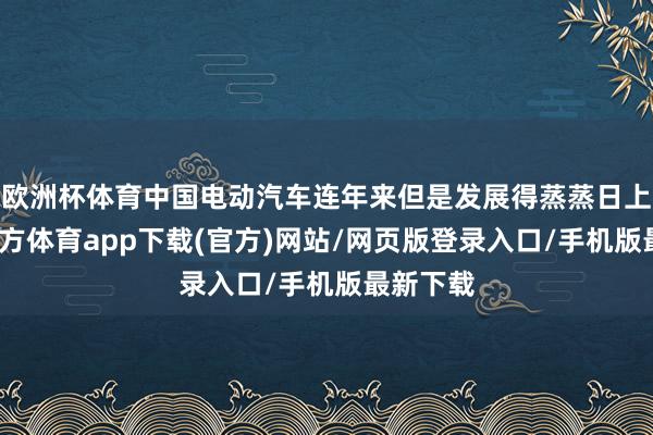 欧洲杯体育中国电动汽车连年来但是发展得蒸蒸日上-万博官方体育app下载(官方)网站/网页版登录入口/手机版最新下载