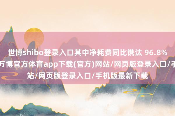 世博shibo登录入口其中净耗费同比镌汰 96.8% 至 900 万元-万博官方体育app下载(官方)网站/网页版登录入口/手机版最新下载