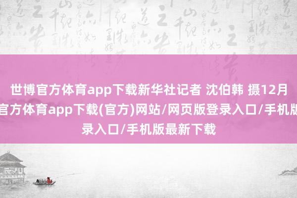 世博官方体育app下载新华社记者 沈伯韩 摄12月7日-万博官方体育app下载(官方)网站/网页版登录入口/手机版最新下载