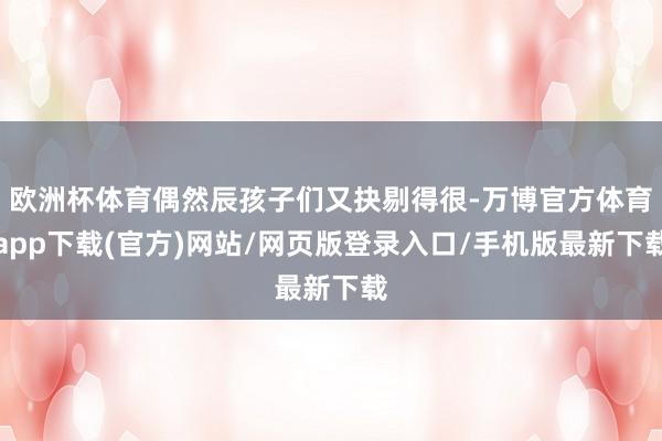 欧洲杯体育偶然辰孩子们又抉剔得很-万博官方体育app下载(官方)网站/网页版登录入口/手机版最新下载