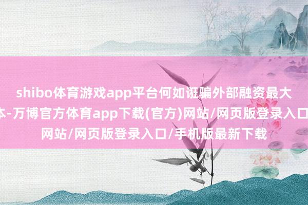 shibo体育游戏app平台何如诳骗外部融资最大程度裁减资金老本-万博官方体育app下载(官方)网站/网页版登录入口/手机版最新下载