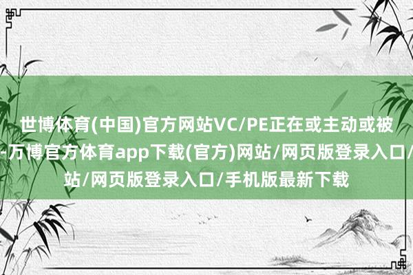 世博体育(中国)官方网站VC/PE正在或主动或被迫地适合新常态-万博官方体育app下载(官方)网站/网页版登录入口/手机版最新下载
