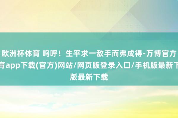欧洲杯体育 呜呼！生平求一敌手而弗成得-万博官方体育app下载(官方)网站/网页版登录入口/手机版最新下载