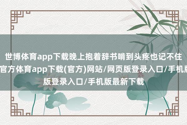 世博体育app下载晚上抱着辞书啃到头疼也记不住几个-万博官方体育app下载(官方)网站/网页版登录入口/手机版最新下载