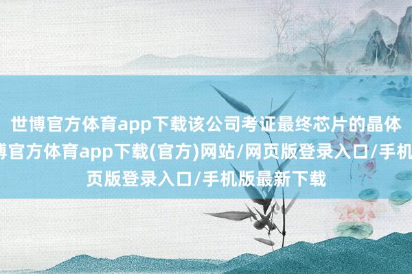 世博官方体育app下载该公司考证最终芯片的晶体管数目-万博官方体育app下载(官方)网站/网页版登录入口/手机版最新下载