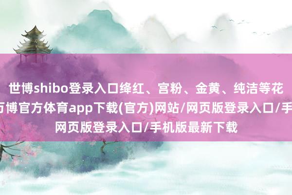世博shibo登录入口绛红、宫粉、金黄、纯洁等花样的三角梅-万博官方体育app下载(官方)网站/网页版登录入口/手机版最新下载