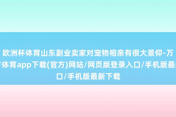 欧洲杯体育山东副业卖家对宠物相亲有很大景仰-万博官方体育app下载(官方)网站/网页版登录入口/手机版最新下载