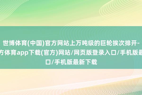世博体育(中国)官方网站上万吨级的巨轮挨次排开-万博官方体育app下载(官方)网站/网页版登录入口/手机版最新下载