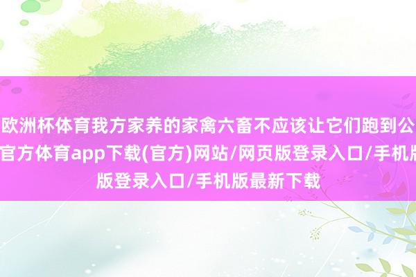 欧洲杯体育我方家养的家禽六畜不应该让它们跑到公路上-万博官方体育app下载(官方)网站/网页版登录入口/手机版最新下载
