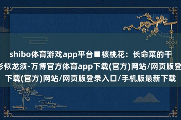 shibo体育游戏app平台■核桃花：长命菜的千年绝学核桃花柱晒干后形似龙须-万博官方体育app下载(官方)网站/网页版登录入口/手机版最新下载