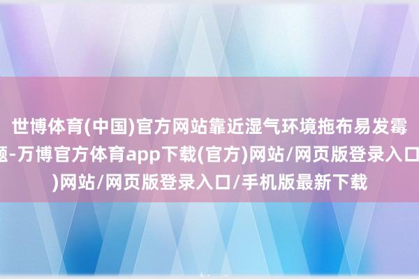 世博体育(中国)官方网站靠近湿气环境拖布易发霉、产生异味的难题-万博官方体育app下载(官方)网站/网页版登录入口/手机版最新下载