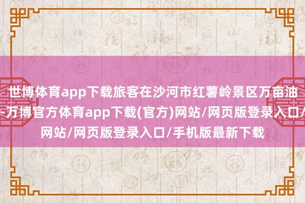 世博体育app下载旅客在沙河市红薯岭景区万亩油菜花海打卡游玩-万博官方体育app下载(官方)网站/网页版登录入口/手机版最新下载