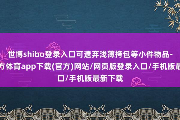 世博shibo登录入口可遗弃浅薄挎包等小件物品-万博官方体育app下载(官方)网站/网页版登录入口/手机版最新下载