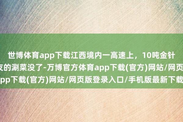 世博体育app下载江西境内一高速上,10吨金针菇全被烤熟!成皆网友的涮菜没了-万博官方体育app下载(官方)网站/网页版登录入口/手机版最新下载