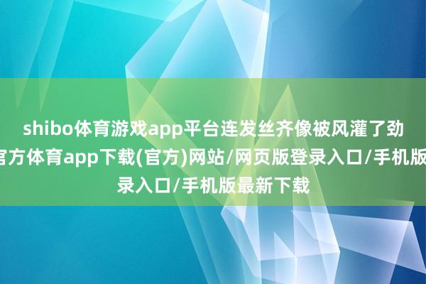 shibo体育游戏app平台连发丝齐像被风灌了劲儿-万博官方体育app下载(官方)网站/网页版登录入口/手机版最新下载