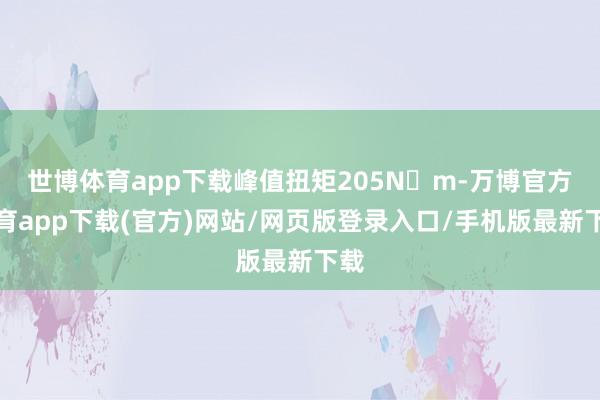 世博体育app下载峰值扭矩205N・m-万博官方体育app下载(官方)网站/网页版登录入口/手机版最新下载