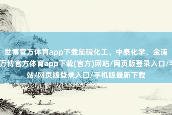 世博官方体育app下载氯碱化工、中泰化学、金浦钛业此前封板-万博官方体育app下载(官方)网站/网页版登录入口/手机版最新下载