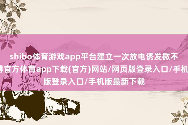 shibo体育游戏app平台建立一次放电诱发微不雅模子-万博官方体育app下载(官方)网站/网页版登录入口/手机版最新下载