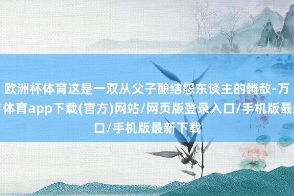 欧洲杯体育这是一双从父子酿结怨东谈主的雠敌-万博官方体育app下载(官方)网站/网页版登录入口/手机版最新下载