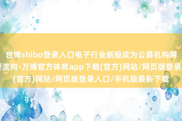 世博shibo登录入口电子行业新股成为公募机构网下“打新”资金的主要流向-万博官方体育app下载(官方)网站/网页版登录入口/手机版最新下载