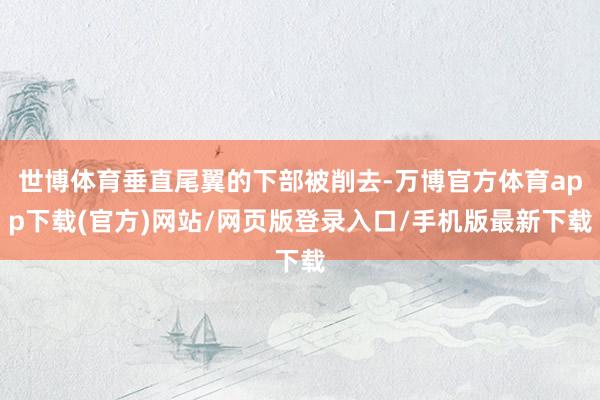 世博体育垂直尾翼的下部被削去-万博官方体育app下载(官方)网站/网页版登录入口/手机版最新下载