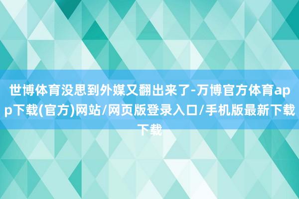 世博体育没思到外媒又翻出来了-万博官方体育app下载(官方)网站/网页版登录入口/手机版最新下载