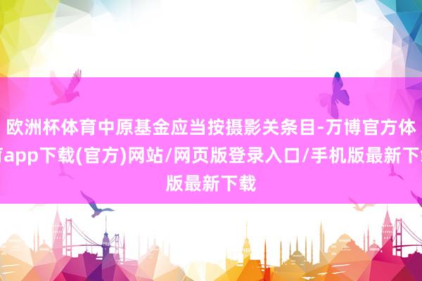 欧洲杯体育中原基金应当按摄影关条目-万博官方体育app下载(官方)网站/网页版登录入口/手机版最新下载