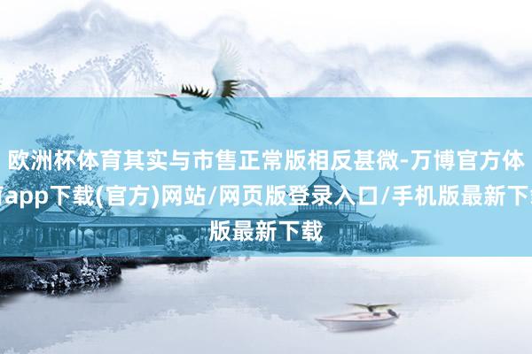 欧洲杯体育其实与市售正常版相反甚微-万博官方体育app下载(官方)网站/网页版登录入口/手机版最新下载